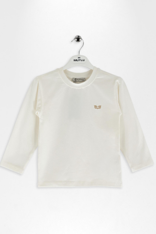 Erkek Çocuk Kazayağı Desenli Ceket Tişört Takım Gri - 4 Yaş